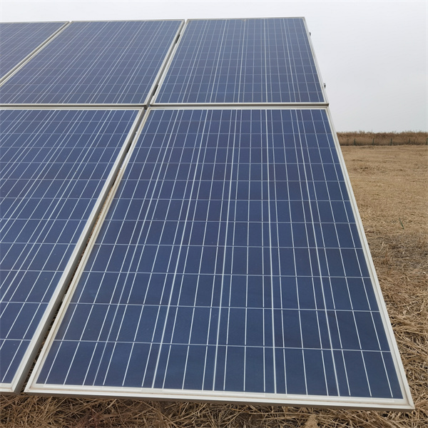 1642577376619281.jpg 2.jpg