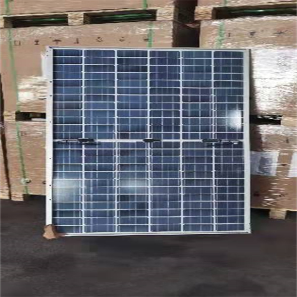 1642578960183452.jpg 2.jpg